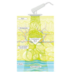 DEEP OSCILLATION® Personal Basic