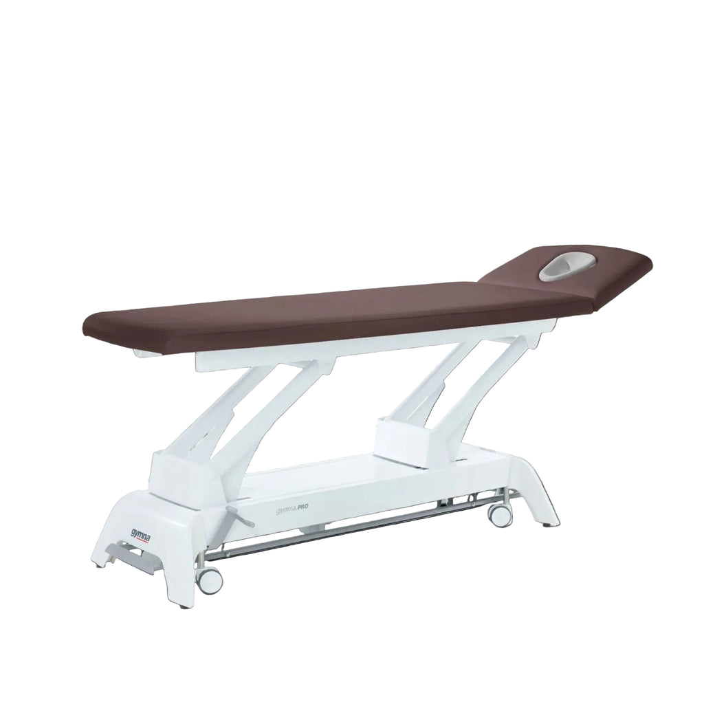 Therapieliege Gymna.PRO D2 i-Control – Sondermodell – 2-teilige Therapieliege mit fixer Ausstattung